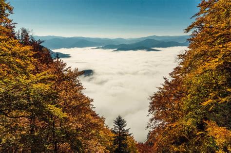 A Guide To Polish Pieniny National Park Curious Wanderess