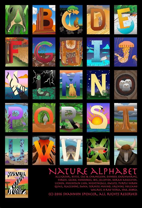 Nature Alphabet Art Poster Print ABCs 13x19 9x12 8x10 wall