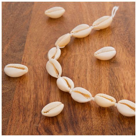 Cowrie Shell Bead Strand Hobby Lobby 1904259