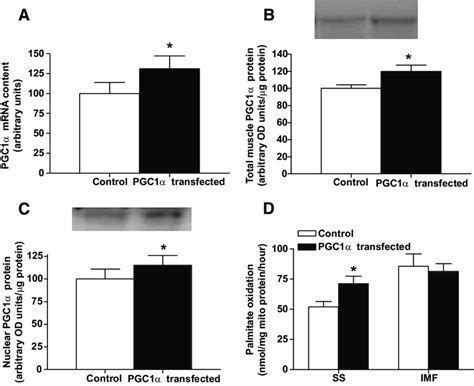 PGC1 MRNA A And Total B And Nuclear C Protein And Subsarcolemmal