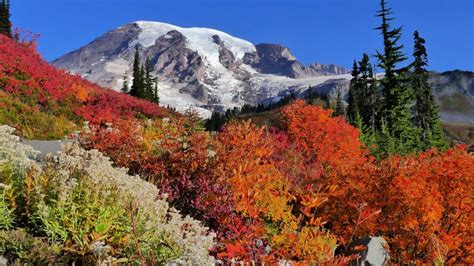 8 October Fall Foliage Views You Don't Want to Miss - Praedictix