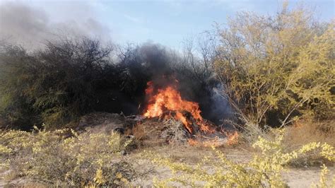 Incendio En Terreno Bald O Provoca Movilizaci N En Apodaca