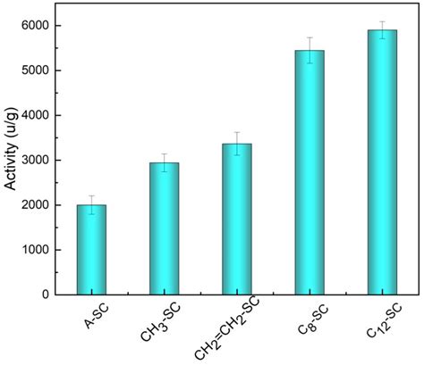 Catalysts Free Full Text Immobilization Of Lipases On Modified