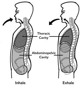 The Connection Between Neck Pain And Breathing