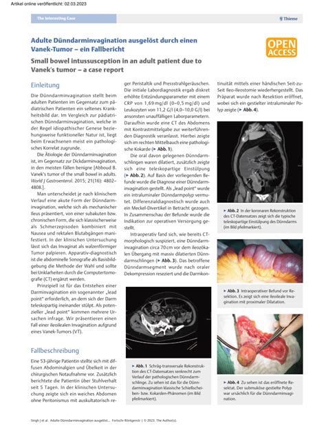 Pdf Adulte D Nndarminvagination Ausgel St Durch Einen Vanek Tumor