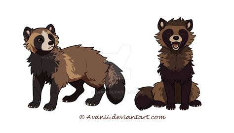 Tanuki Drawings