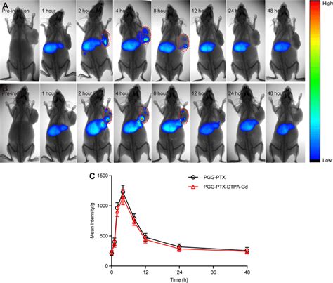 In Vivo Fluorescent Imaging Of Nci H Bearing Nude Mice N After