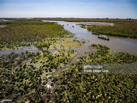 Aerial Of Motor Boat Excursion To Wetlands In Volga River Delta High