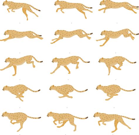 Cheetah - Runing- Animation Spritesheet, realistic animation, animal ...