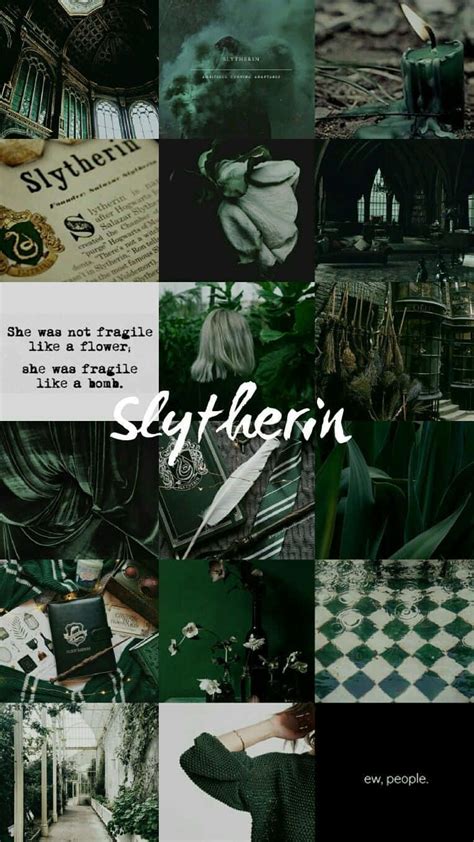 [100+] Slytherin Wallpapers | Wallpapers.com