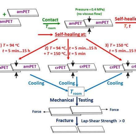 Schematic Representation Of The Experimental Procedures Used In This