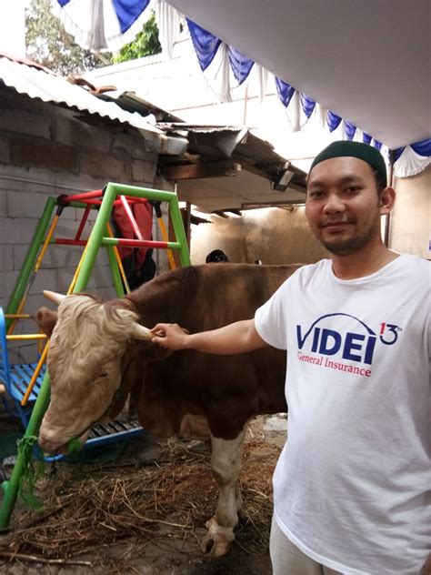 Penyaluran Qurban Hari Raya Idul Adha Pt Asuransi Umum Videi