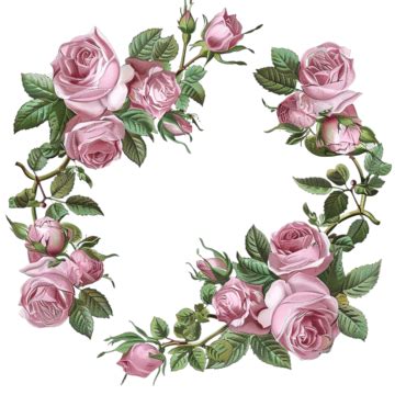 Round Pink Rose Floral Wreath Frame Rose Peony Flowers PNG