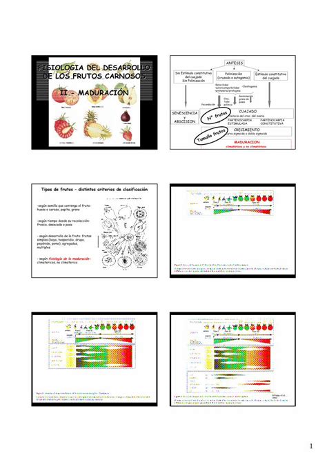 Pdf Fisiologia Vegetal Fruto Ii Dokumen Tips