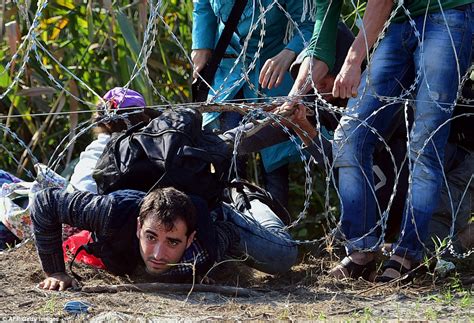 Hungary S Barbed Wire Fence Still Proves No Barrier For Migrants