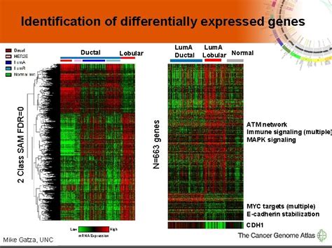 Genomic Characterization Of Invasive Lobular Breast Carcinoma Michael