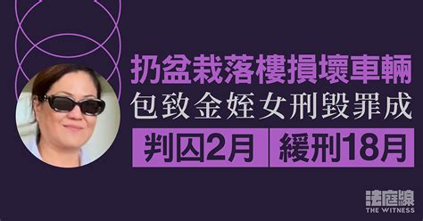 扔盆栽落樓損壞車輛 包致金姪女刑毀罪成判囚2月、緩刑18月 法庭線 The Witness