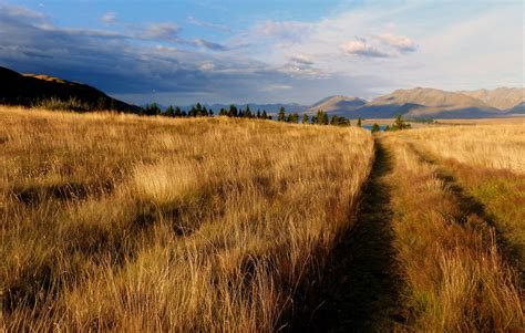 Landscape Photo Of Brown Grass Field Nz HD Wallpaper Wallpaper Flare