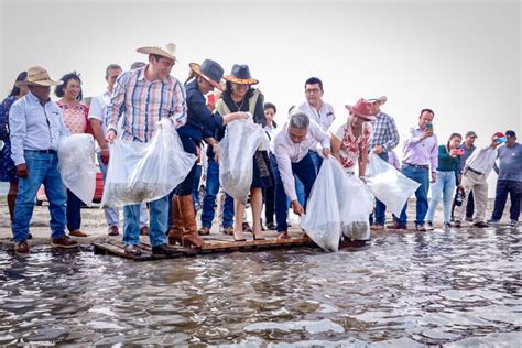 Aumenta Producci N Acu Cola Y Pesquera En Hidalgo