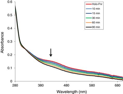 Changes In The Ultraviolet Visible Spectrum Of Reconstituted B