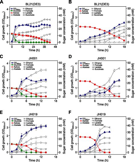 Anaerobic Cell Growth And Fermentation Profiles Of The Bl21de3 E