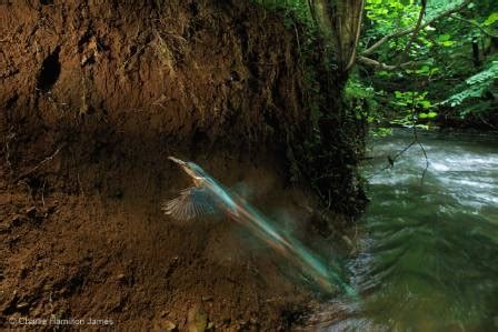 NaturePlus: What's new at the Museum: Wildlife Photographer of the Year ...