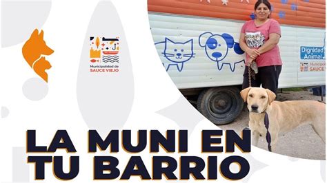 Sauce Viejo D Nde Funcionar El Programa La Muni En Tu Barrio