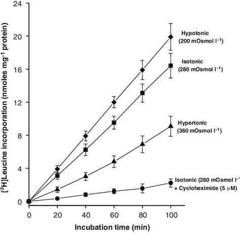 Effects Of Anisotonicity And Cycloheximide On Protein Synthesis As