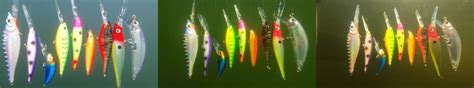 How to Choose the Right Lure Color