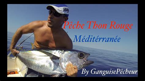 Pêche Thon Rouge en Méditerranée YouTube