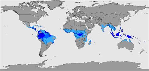 Clima Tropical Geografia InfoEscola