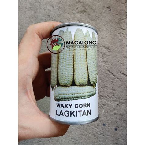 Condor Seeds Waxy Corn Seeds Lagkitan Seeds Jr Can Ligo Can