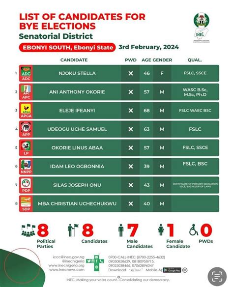 INEC Releases List Of Candidates For February Bye Elections