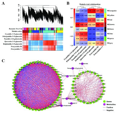 Weighted Gene Co Expression Network Analysis Wgcna Of Degs With