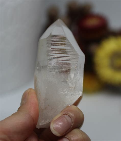 Lemurian Seed Quartz Shop Natural Lemurian Seed Crystal From Crystal