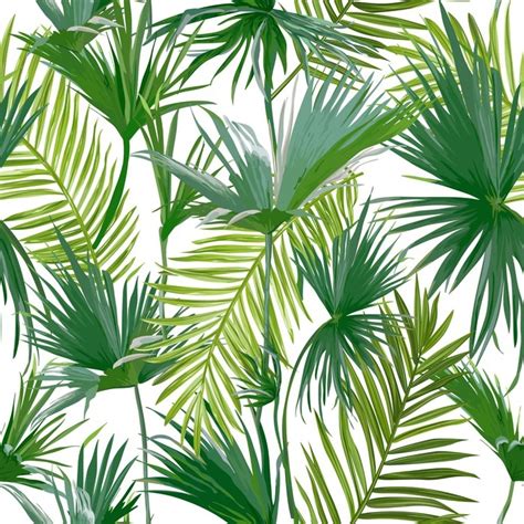 Vinilo Pixerstick Hojas De Palmera Tropical Selva Hojas Vector Floral