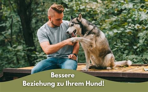 Impulskontrolle Beim Hund So Trainieren Sie Ihren Hund Zu Mehr