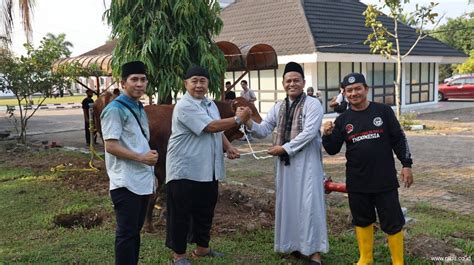 Idul Adha H Bukit Asam Ptba Salurkan Sapi Dan Kambing