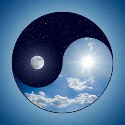 Love This Yin Yang Ying Yang Yin