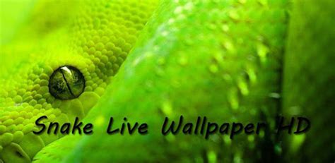 Snake Live Wallpaper HD for PC - How to Install on Windows PC, Mac