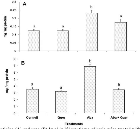 Figure 3 From Hepatotoxicity And Nephrotoxicity In Mice Induced By