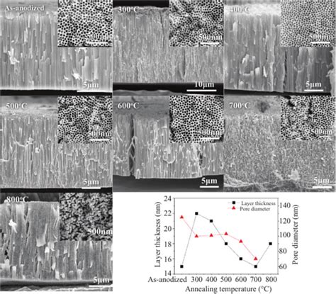 Physical Properties Of Anodic Tio Nanotube Layers Annealed At