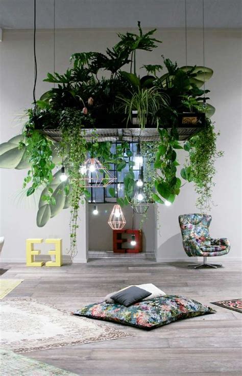 Plantes suspendues pour une décoration tendance Le Mag Visiondeco