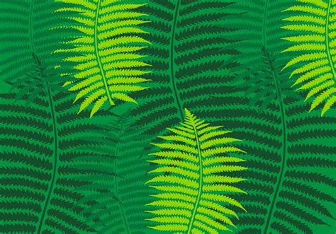 Трафарет папоротника | fern stencil | Plant leaves, Leaves