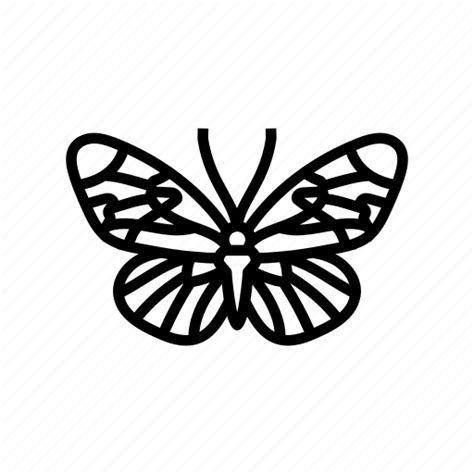 Sapho Longwing Insect Butterfly Summer Spring Nature Icon