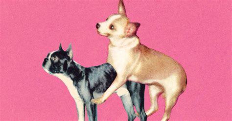 A Brief History Of Sex On The Internet Artofit