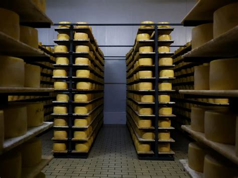 Molkereien erwarten Preiserhöhungen bei Milchprodukten - VIENNA.AT