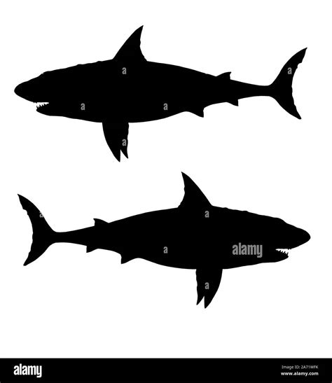 How To Draw A Megalodon Shark - alter playground