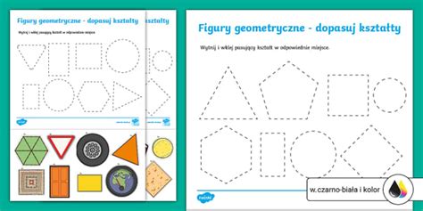 Figury Geometryczne Wytnij I Wklej Pasujący Kształt Karta Pracy