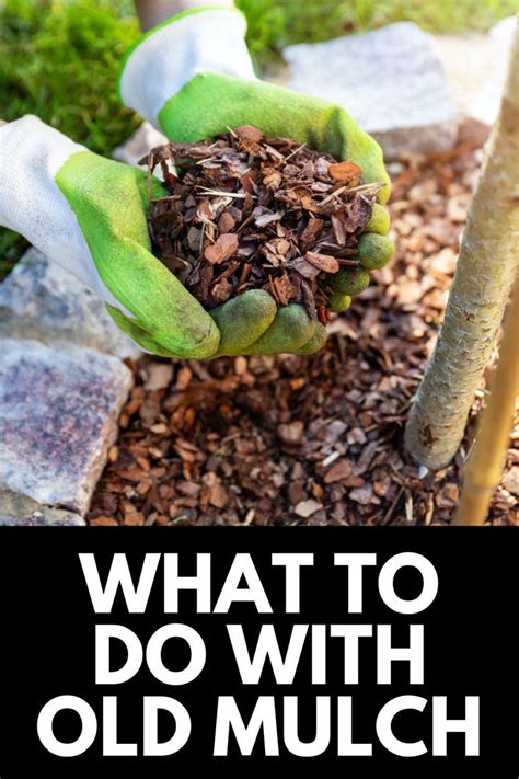 What To Do With Old Mulch In Your Garden 2024 Own The Yard Organic Mulch Organic Gardening